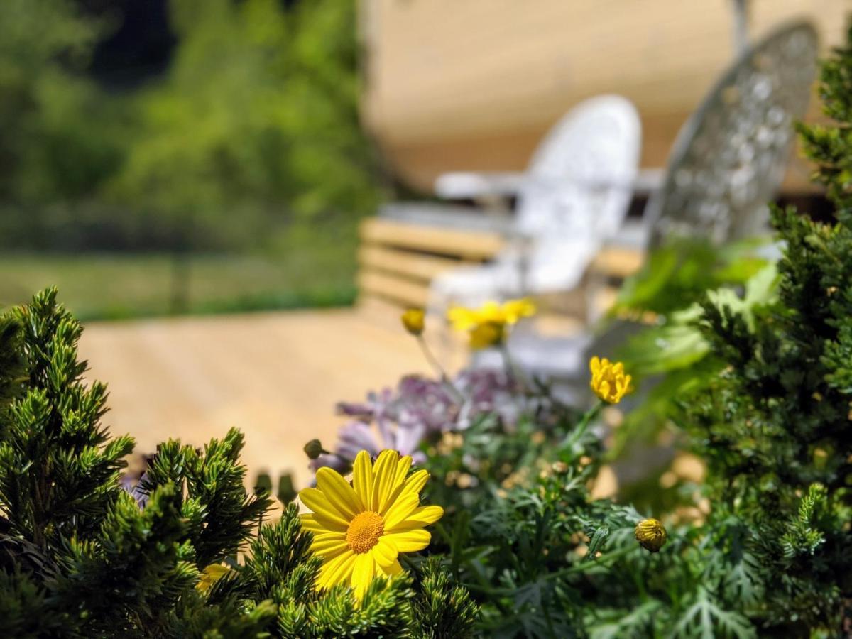 Tiny House With Terrace Villa Flam Bagian luar foto